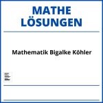 Mathematik Bigalke Köhler Lösungen Pdf